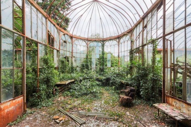 Abandoned Greenhouse. Author: Jonk Photography