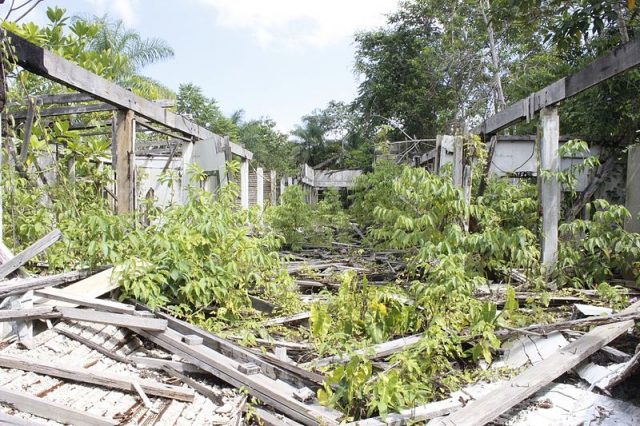Fordlandia hospital destroyed by looting. Author: RodrigoCruzatti CC BY 4.0