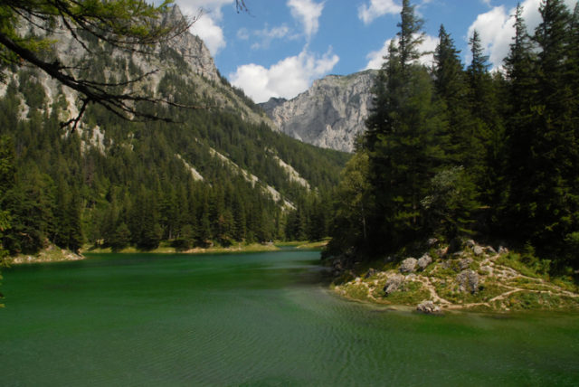 View of Green Lake in the Alps, Tragöß, Austria