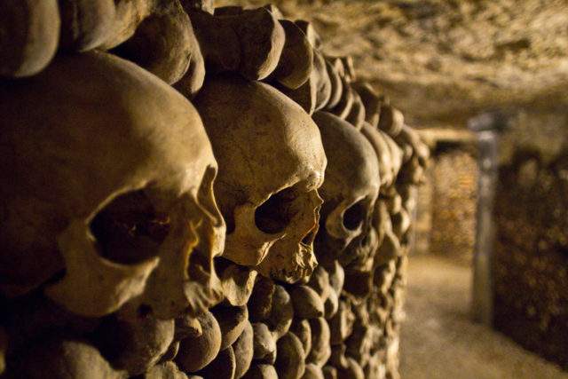 Skulls in the Catacombs of Paris.