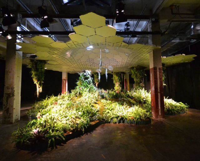 James Ramsey, a former NASA engineer, envisions having 3,500 different varieties of plants in the actual Lowline. Author: Jcbergland CC BY-SA 4.0