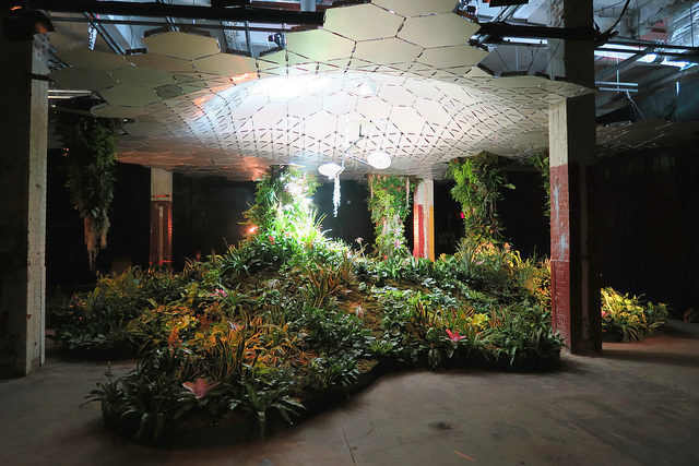 The Lowline Lab – designed to test and showcase how the Lowline will grow and sustain plants underground. Author: Kristine Paulus CC BY 2.0