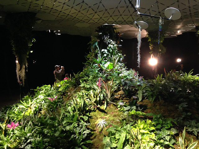 The Lowline Lab was opened in October 2015 as a working prototype to determine the long-term feasibility of the Delancey Underground project. Author: JL Wong CC BY 2.0