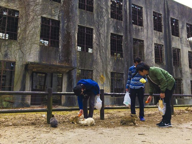 Tourists feed carrots to a group of rabbits as they stand in front of a former power plant at Okunoshima, or “Rabbit Island,” Japan.