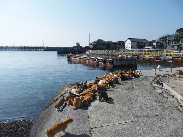 Harbor of Tashirojima.Author: Sayoko Shimoyama CC BY 2.0