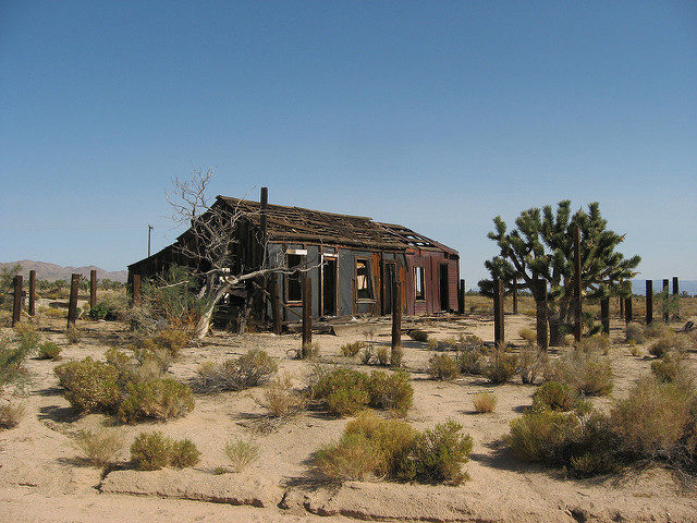 Cima is a small community in the Mojave Desert of California. It was once the main settlement for the miners. Now only a few people live in the area and is considered a ghost town. – By Ken Lund – CC BY-SA 2.0