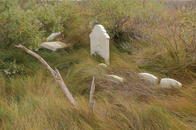 Headstones sinking into the marsh. Author: baldeaglebluff CC BY-SA 2.0