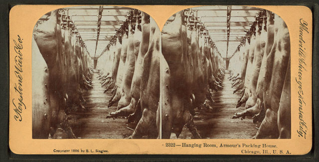Hanging room, Armour’s packing house. Public Domain