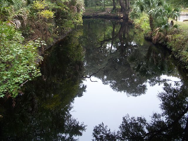 The water flows out of the pools into Spring Creek. Author: Ebyabe CC BY-SA 3.0