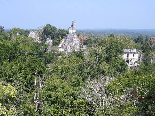 The site’s core seen from the south, with Temple I at center, the North Acropolis to the left, and the Central Acropolis to the right. Photo credit: Peter Andersen, CC BY 2.5