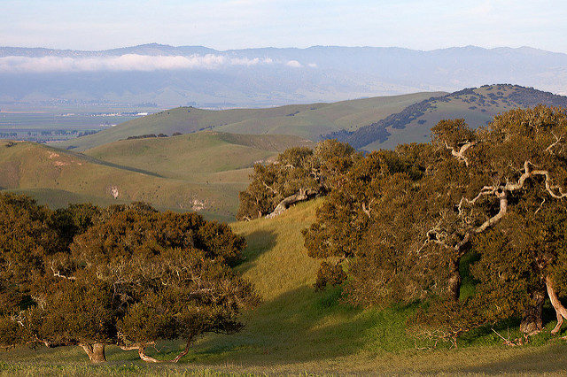 Fort Ord National Monument. Author: Bob Wick NM CC BY 2.0