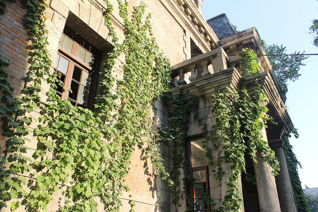 Some parts of the house are covered in ivy.