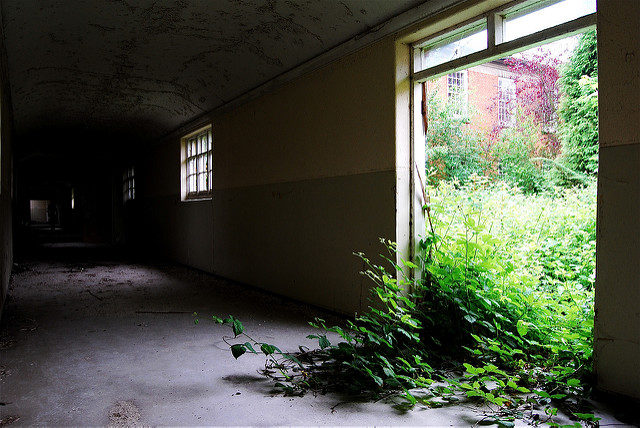 Nature encroaches. Author: Rob Walker CC BY 2.0