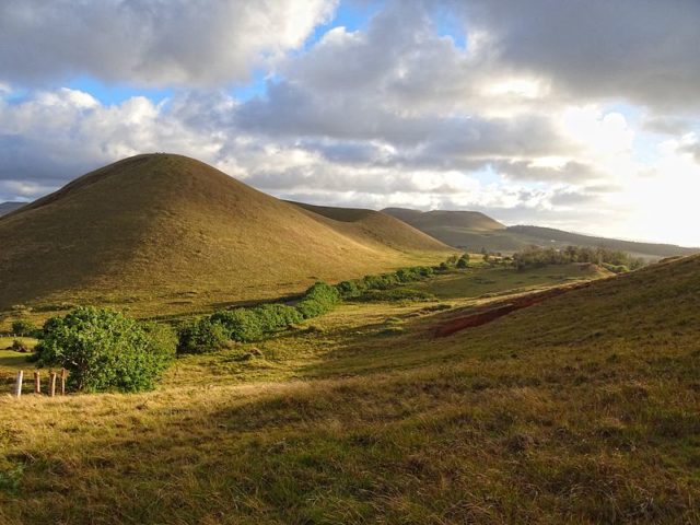 Typical landscape on Easter Island; rounded extinct volcanoes covered in low vegetation. Photo Credit