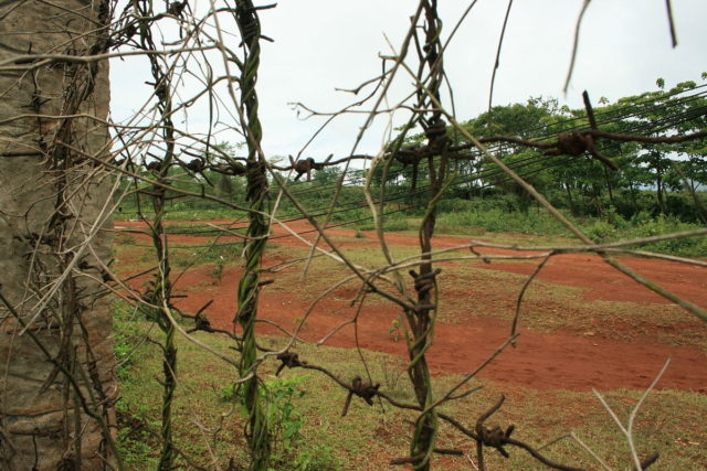 Nature takes back the airstrip Ã¢Â€Â“ Author: LÃ¢Â€Â™homme venteux Ã¢Â€Â“ CC BY-SA 3.0