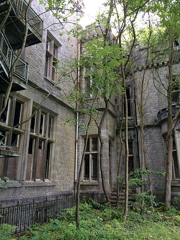 El castillo está completamente abandonado desde 1991 /Autor: Lcrolu – CC BY-SA 3.0