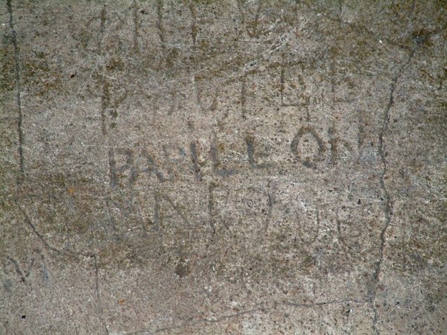 Another of Papillon’s signatures. Author: Sébastien MAENNEL CC BY-SA 3.0