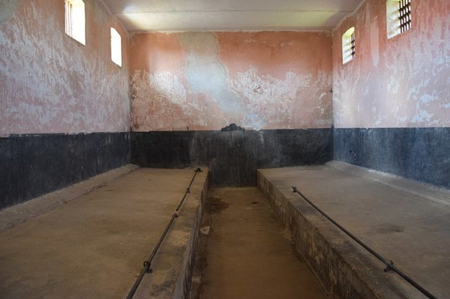 Group Sleeping cell. Author: Chatsam CC BY-SA 3.0