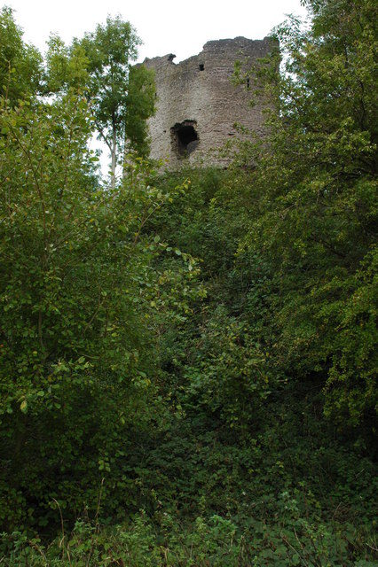 The keep of Longtown Castle viewed from the west/ Author: Philip Halling – CC BY-SA 2.0