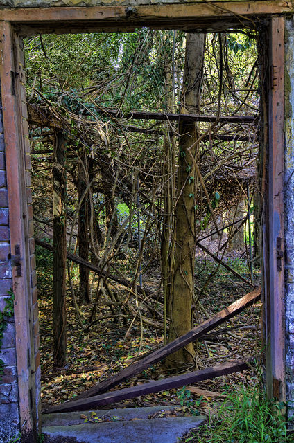The abandoned garden folly. Author: Frederick Manning CC BY 2.0