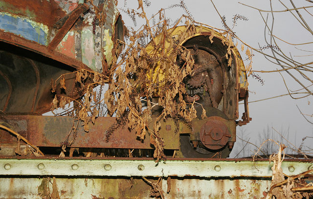Tumble Bug’s rusty gear. Author: Dana Beveridge CC BY 2.0