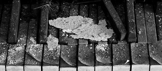 When the music fades. Author: David Scaglione CC BY 2.0