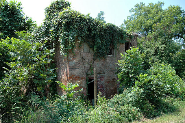 The overgrown hotel/ Author: Michael McCarthy – CC BY-ND 2.0