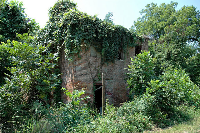 The overgrown hotel/ Author: Michael McCarthy – CC BY-ND 2.0