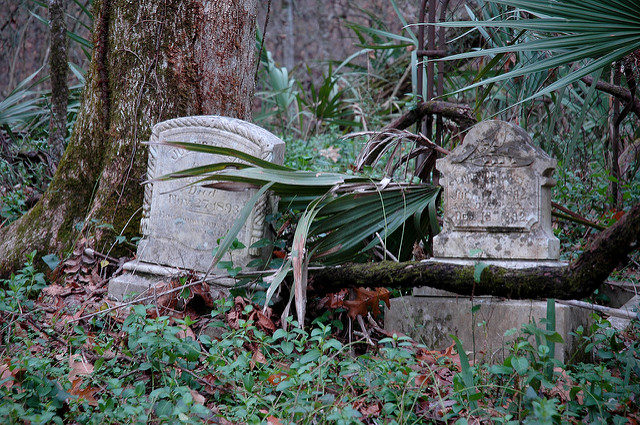 Hundreds of graves are slowly “melting” into the forest/ Author: Michael McCarthy – CC BY-ND 2.0
