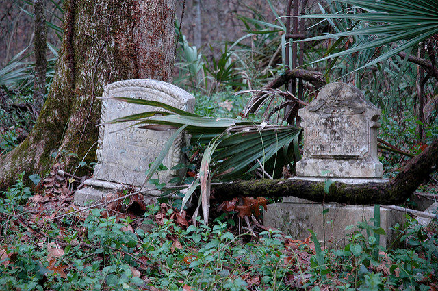 Hundreds of graves are slowly “melting” into the forest/ Author: Michael McCarthy – CC BY-ND 2.0