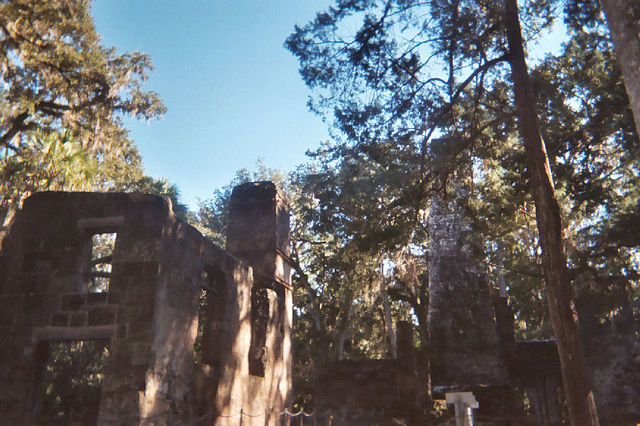 The ruins are hidden in the jungle. Author: Ebyabe – CC BY 2.5