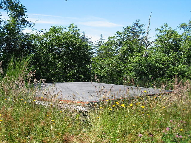 Bunker overgrown with vegetation/ Author: Bobjgalindo – CC BY-SA 3.0