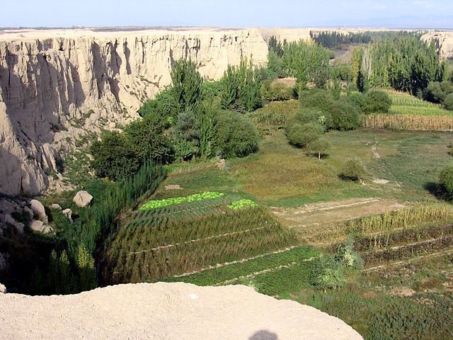 View from the plateau on which Jiaohe is situated/ Author: Colegota – CC BY-SA 2.5 es