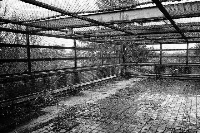 A cage-like courtyard. Author: Dan Grogan CC BY 2.0