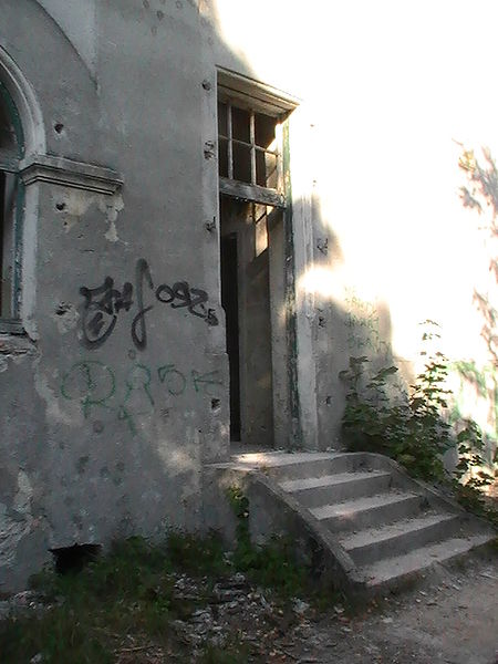 A set of stairs leading inside the asylum. Author: Higroskopijny Public Domain