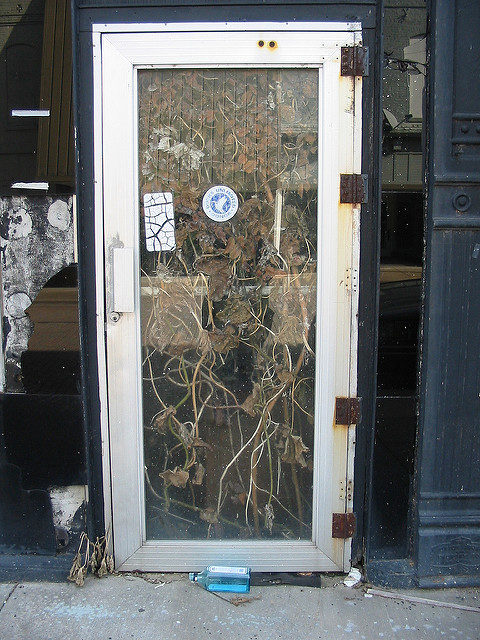 Abandoned shop. Author: hickory hardscrabble CC BY 2.0