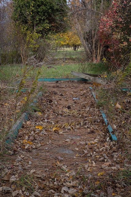Barely visible remains of the park. Author: Michael R Stoller Jr CC BY-ND 2.0