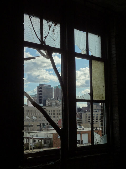 Looking out the window. Author: Paul Sableman CC BY 2.0