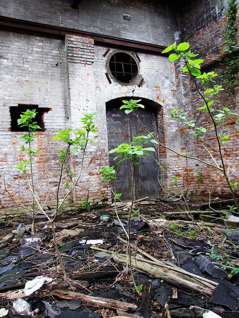Nature reclaiming its own. Author: Joseph Novak CC BY 2.0