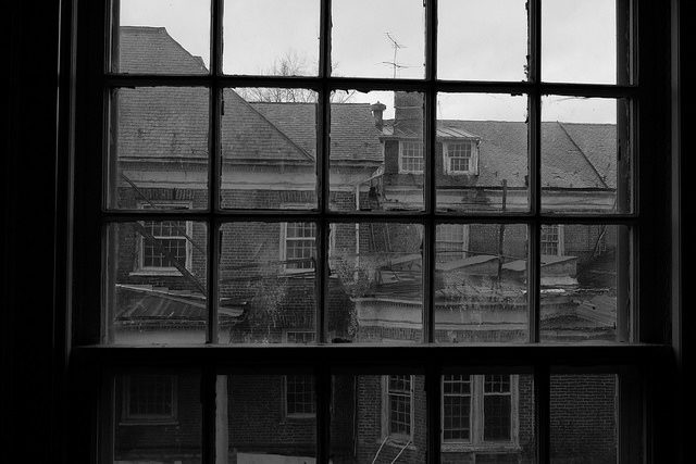 Not so much of a view. Author: Dan Grogan CC BY 2.0