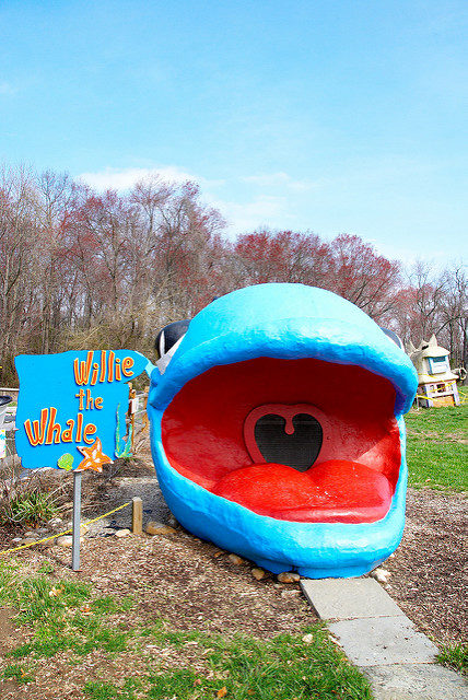 The famous Willie the Whale. Author: Matt Billings CC BY 2.0