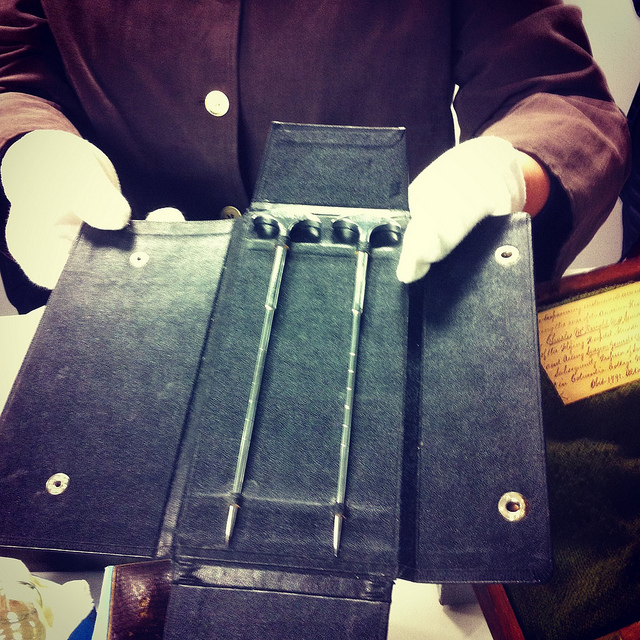The lobotomy Spikes. Author: bluelikechagall CC BY 2