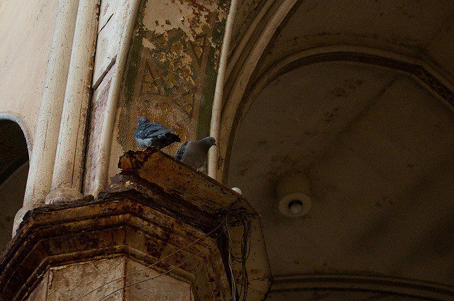 Two of the regular guests at the church today. Author: Colin Knowles CC BY-SA 2.0