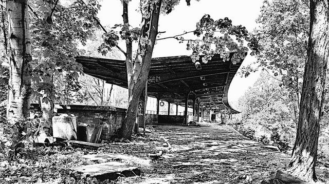 Abandoned among the trees. Author: ANBerlin CC BY-ND 2.0