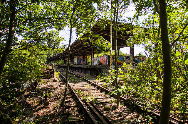 Hidden and silent. Author: Stefan Muth CC BY-SA 2.0