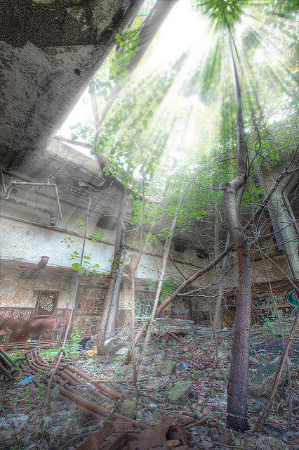 Open to nature’s elements. Author: Shane Gorski CC BY-ND 2.0