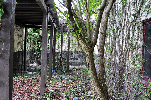Overgrown part of some facility. Author: agweightman CC BY-ND 2.0