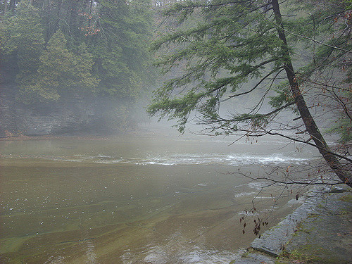 Steaming hot springs. Author: Doug Kerr CC BY-SA 2.0
