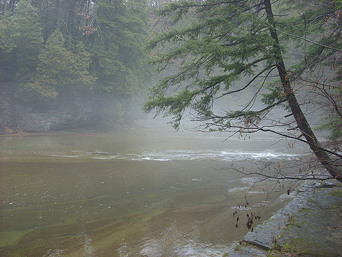 Steaming hot springs. Author: Doug Kerr CC BY-SA 2.0