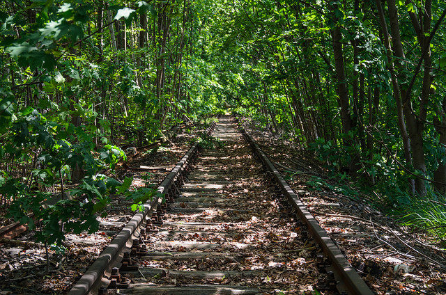 The quiet train tracks. Author: Stefan Muth CC BY-SA 2.0